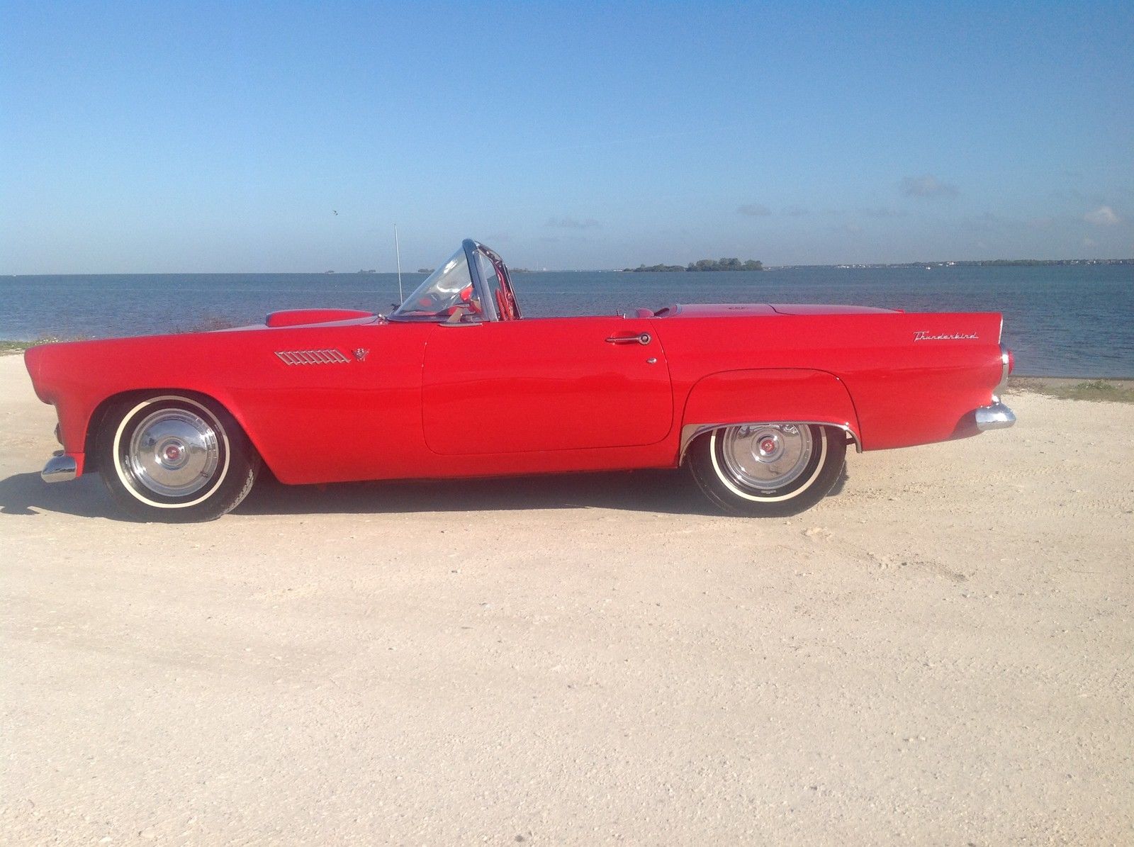 1955 Thunderbird Convertible Classic Ford Thunderbird 1955 For Sale