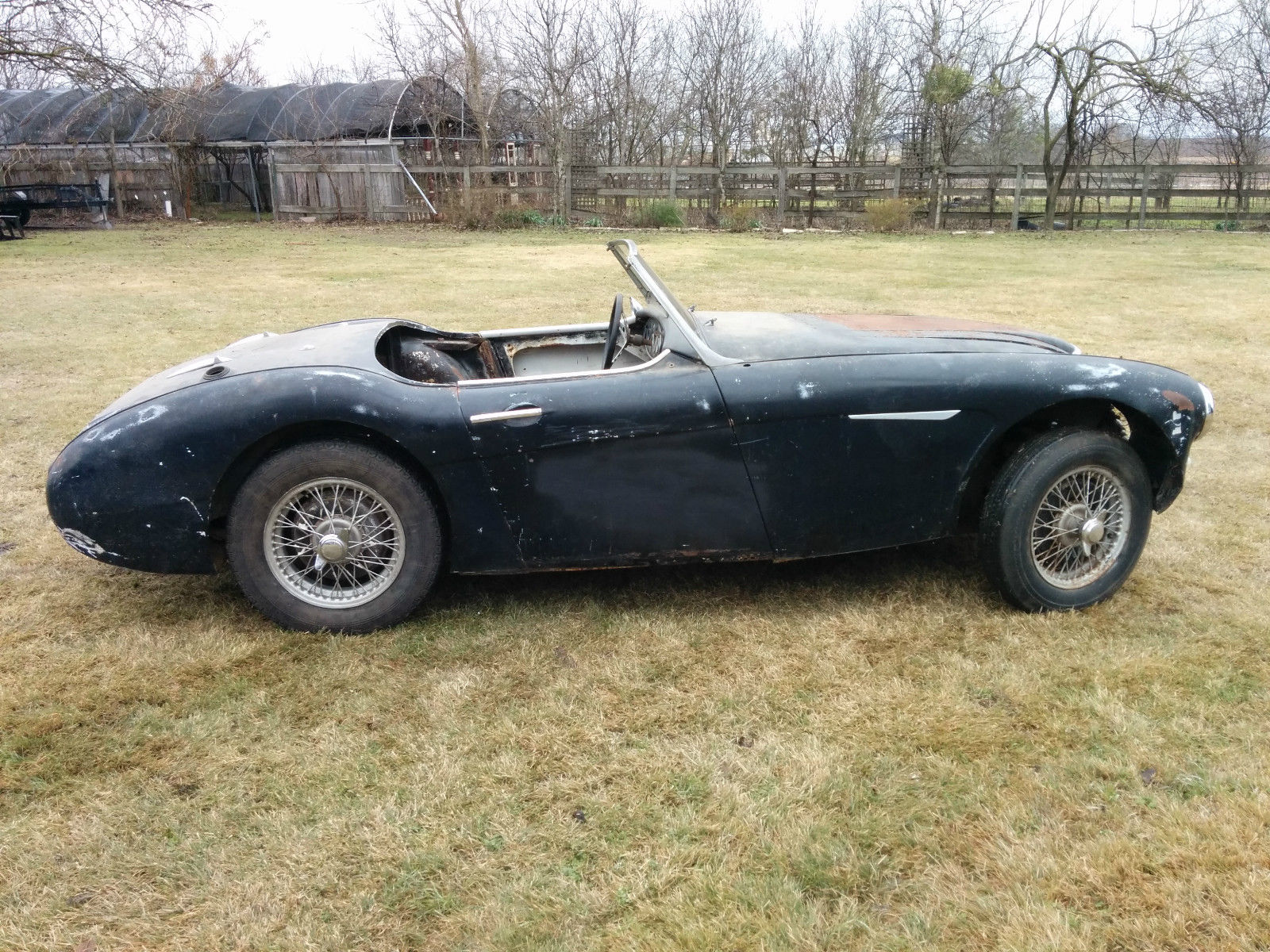 1959 Austin Healey Bn6 V8 Project Classic Austin Healey Other 1959