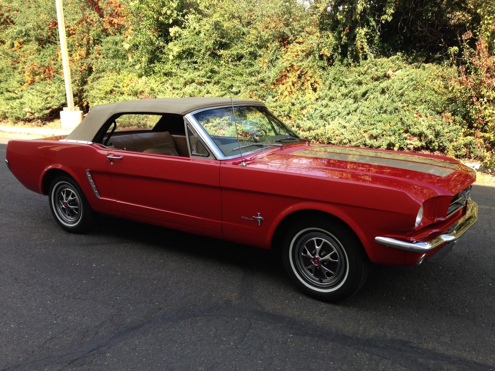 1964 1/2 Ford Mustang Convertible, Matching Numbers, Restored