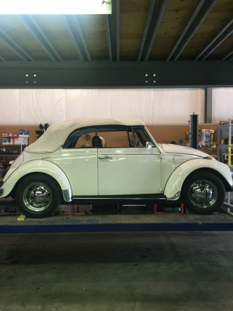 Classic VW Beetle Panel Rear Apron Valance Bug 1964-66 suit Pre-67 Long Decklid