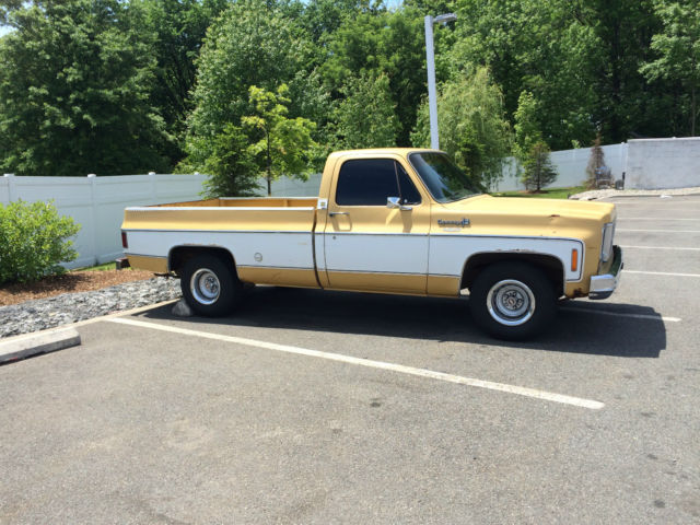1973 chevy stepside pickup bed