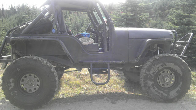 crawler buggy for sale