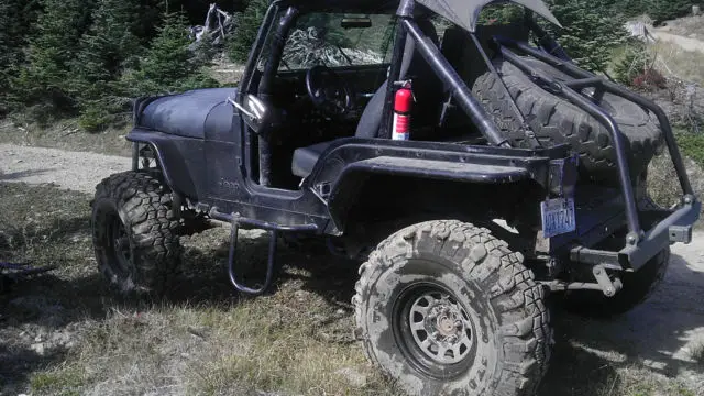 crawler buggy for sale