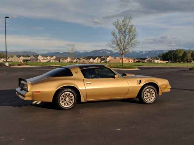 1978 Firebird Trans Am Y88 Special Edition Solar Gold Classic