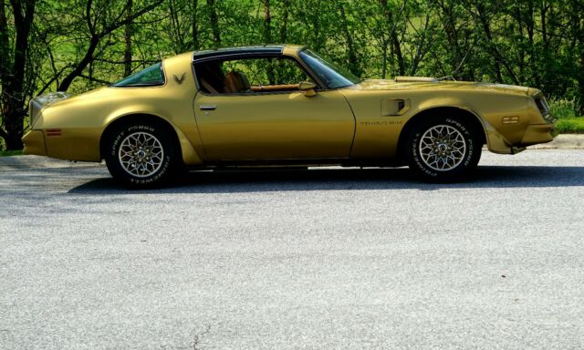 1978 Trans Am Y88 Special Edition Gold Classic Pontiac Trans Am 1978 For Sale