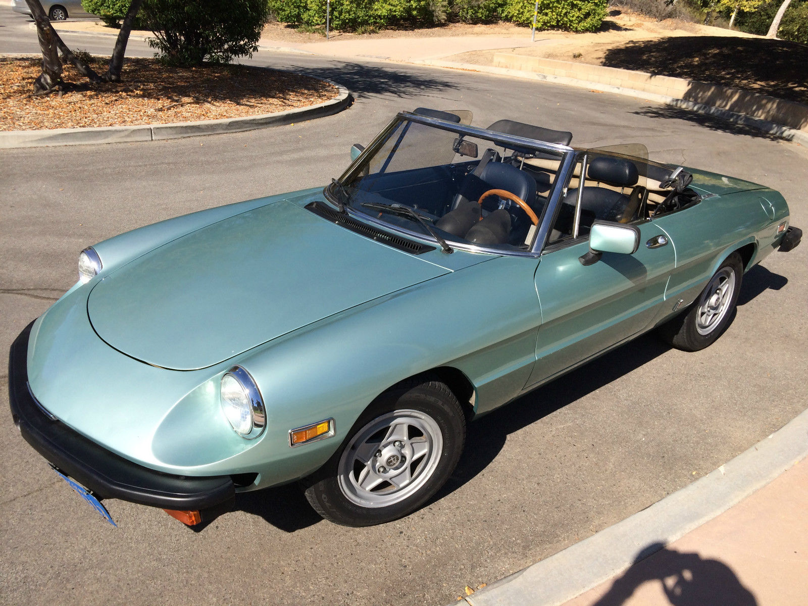 1982 Alfa Romeo Spider Veloce Convertible 2-Door 2.0L - Classic Alfa