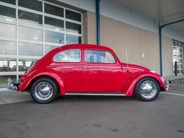 1964 Volkswagen Bug Recently Restored 