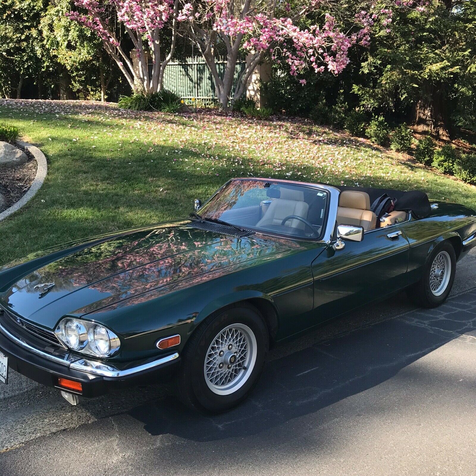 Classic 1990 Jaguar XJS v-12 Convertible - Classic Jaguar XJS 1990 for sale