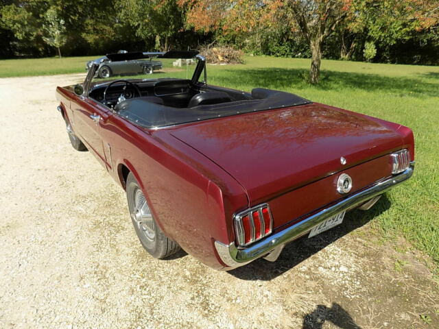 1964 Mustang V8