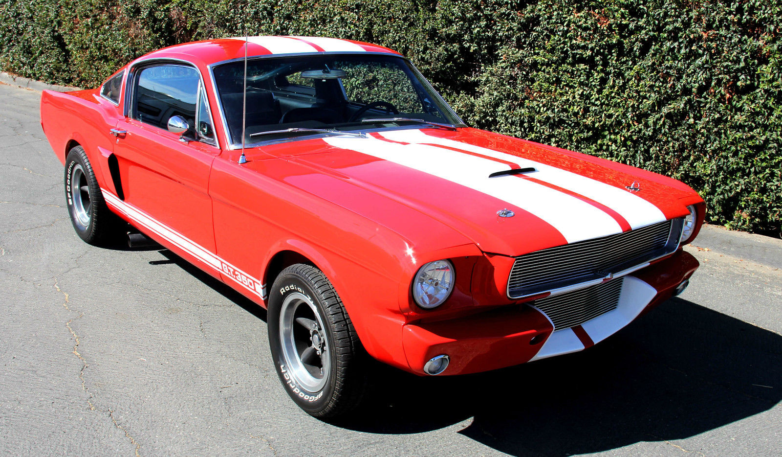 1966 Ford Mustang Fastback Shelby GT350 Tribute