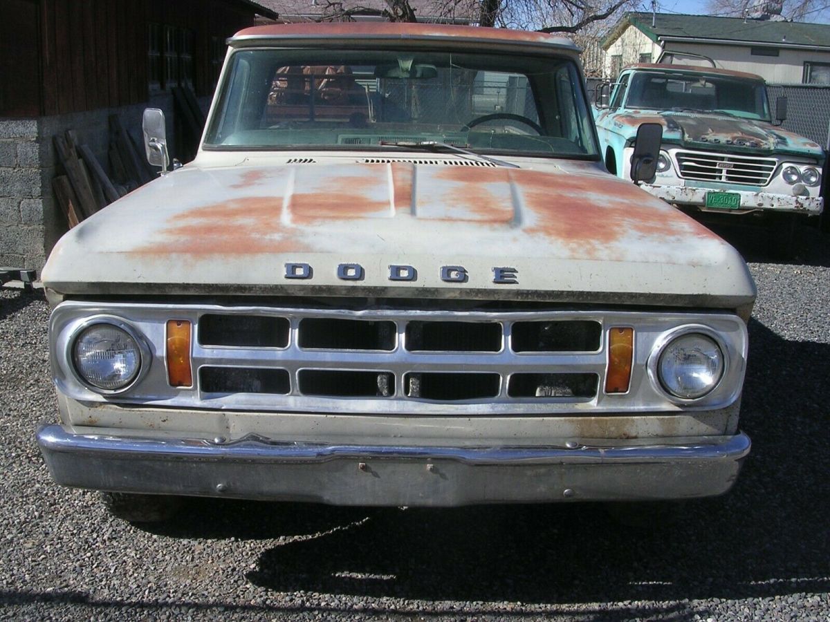 1969 Dodge D100 Sweptline 1/2 Ton Longbox SURVIVOR BARN FIND - Classic ...