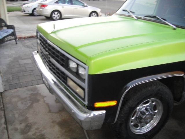 1976 C30 Silverado Crew Cab