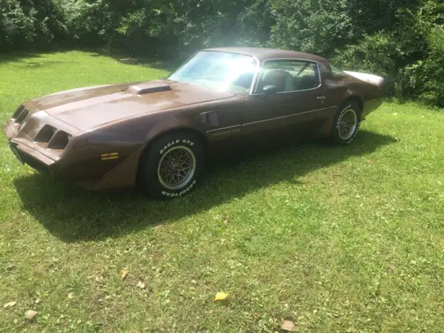 1979 Trans Am 4 speed - Classic Pontiac Trans Am 1979 for sale