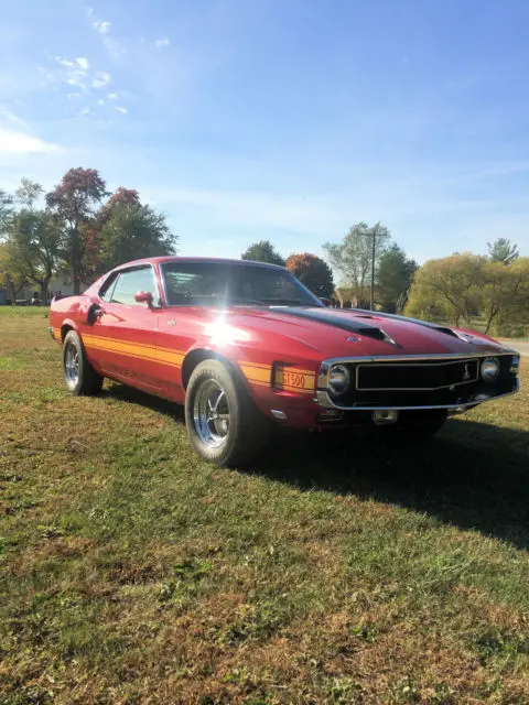 69 Shelby GT 500 - Classic Ford Mustang 1969 for sale